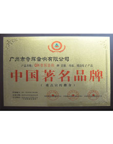 中国著名品牌【奇辉音响】